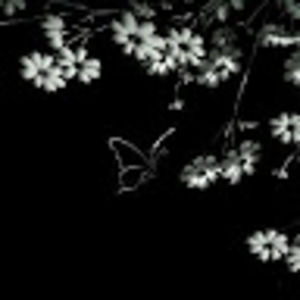 Meet your Posher, Gahrbij